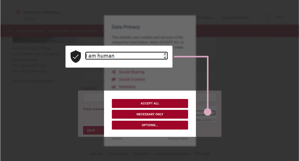 The cookie settings window partly obscures the form field. We can see a small part of the field’s focus indicator. The other screenshot shows the version of the input filled with the text “I am human.”